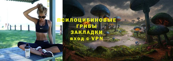 spice Кодинск